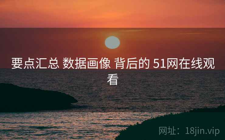 要点汇总 数据画像 背后的 51网在线观看