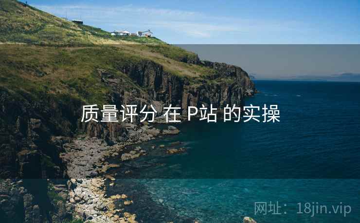 质量评分 在 P站 的实操