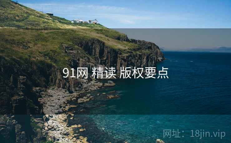 91网 精读 版权要点