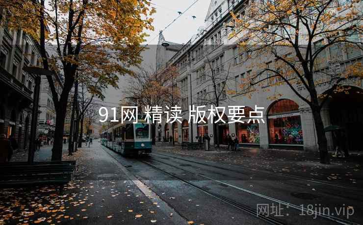 91网 精读 版权要点