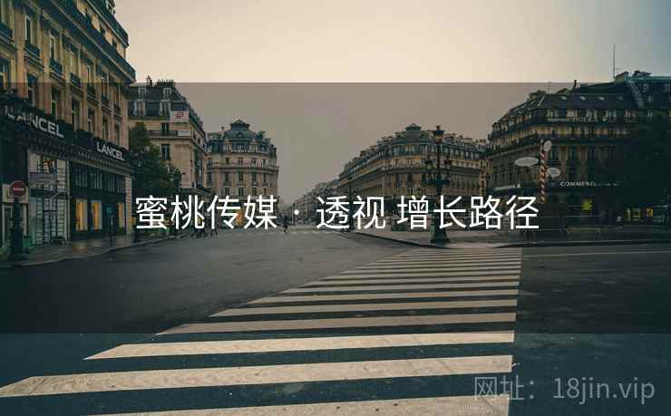 蜜桃传媒 · 透视 增长路径