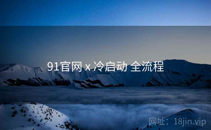 91官网 x 冷启动 全流程