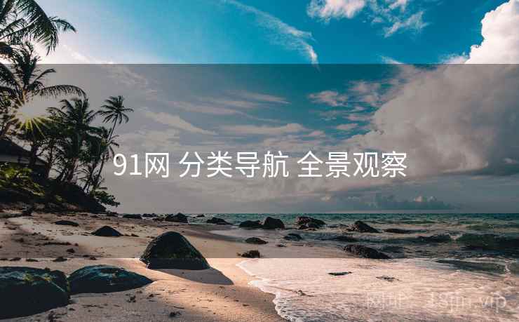91网 分类导航 全景观察
