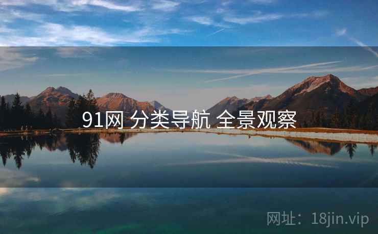 91网 分类导航 全景观察