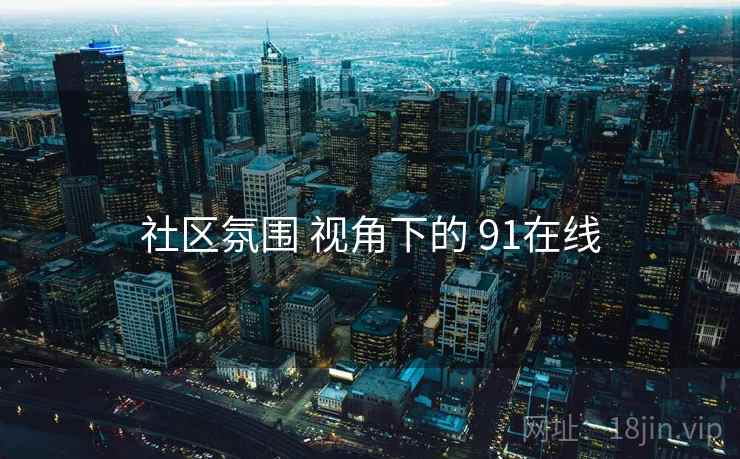 社区氛围 视角下的 91在线