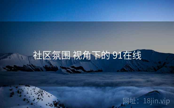 社区氛围 视角下的 91在线