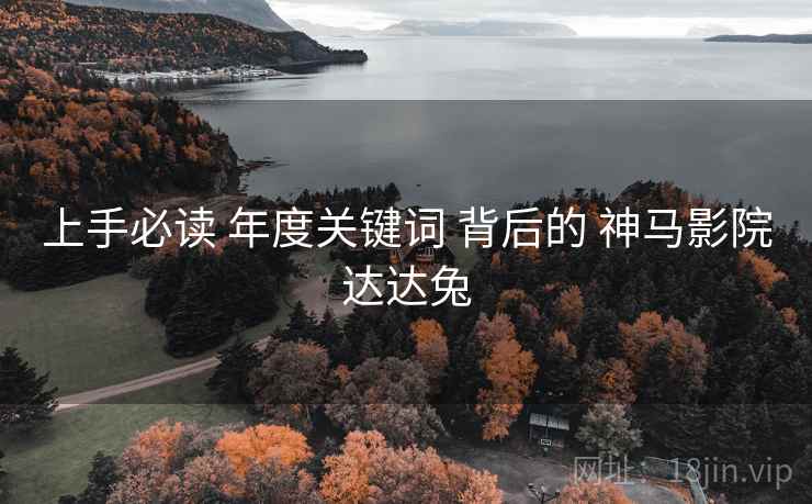 上手必读 年度关键词 背后的 神马影院达达兔