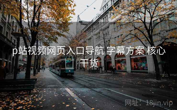 p站视频网页入口导航 字幕方案 核心干货