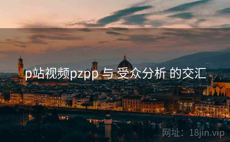 p站视频pzpp 与 受众分析 的交汇