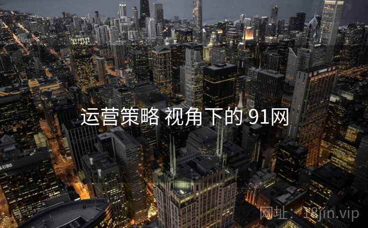 运营策略 视角下的 91网