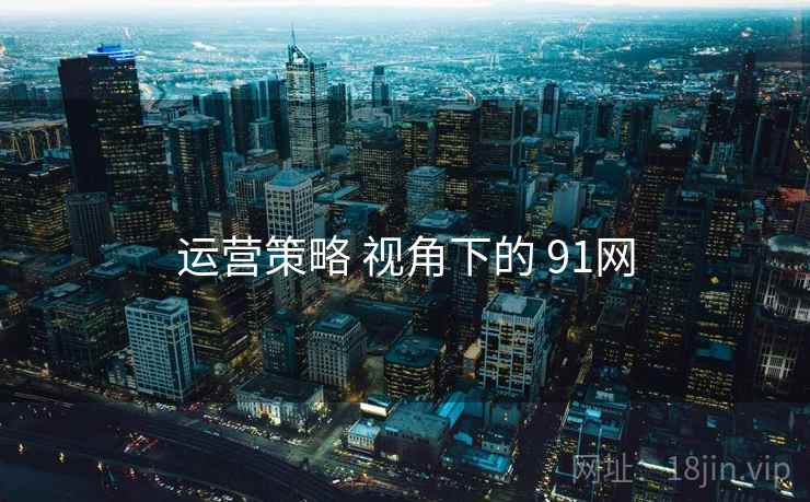 运营策略 视角下的 91网