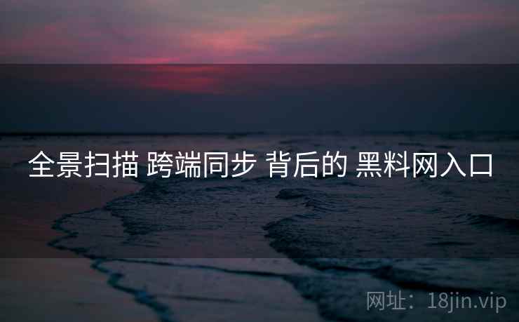 全景扫描 跨端同步 背后的 黑料网入口