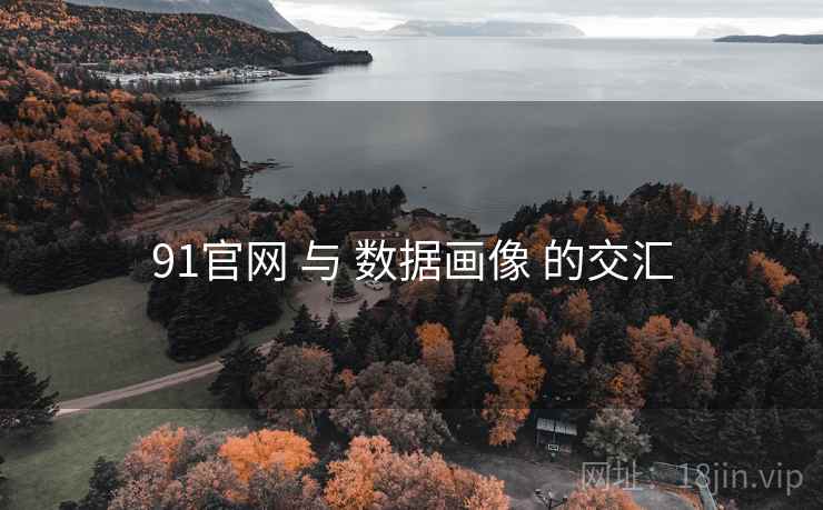 91官网 与 数据画像 的交汇