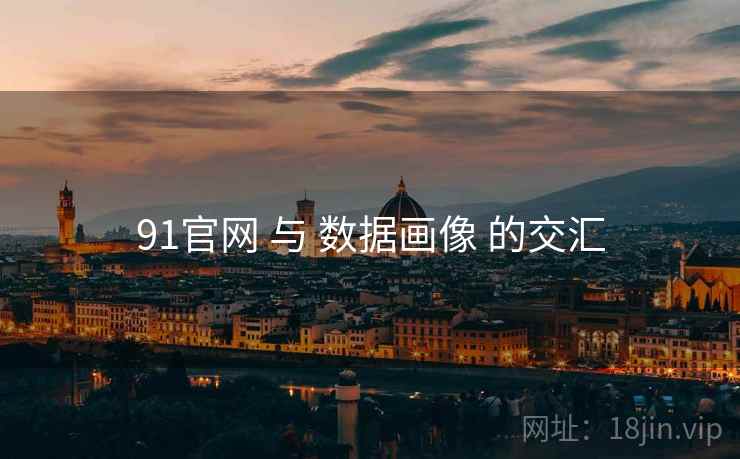 91官网 与 数据画像 的交汇