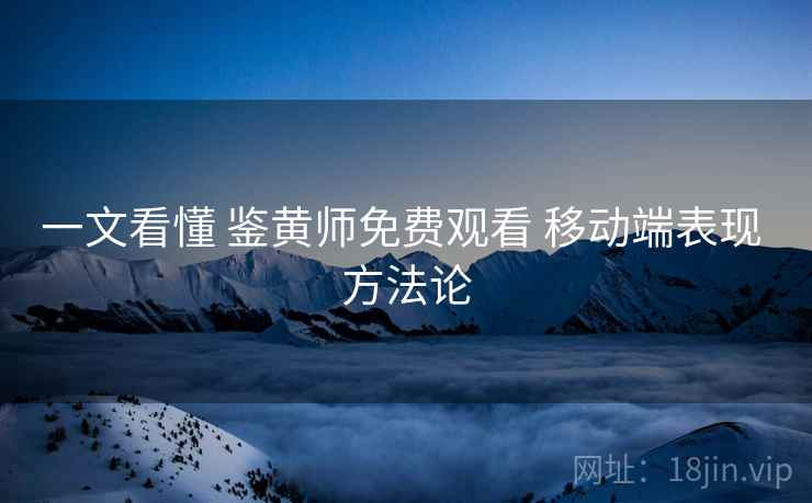 一文看懂 鉴黄师免费观看 移动端表现 方法论