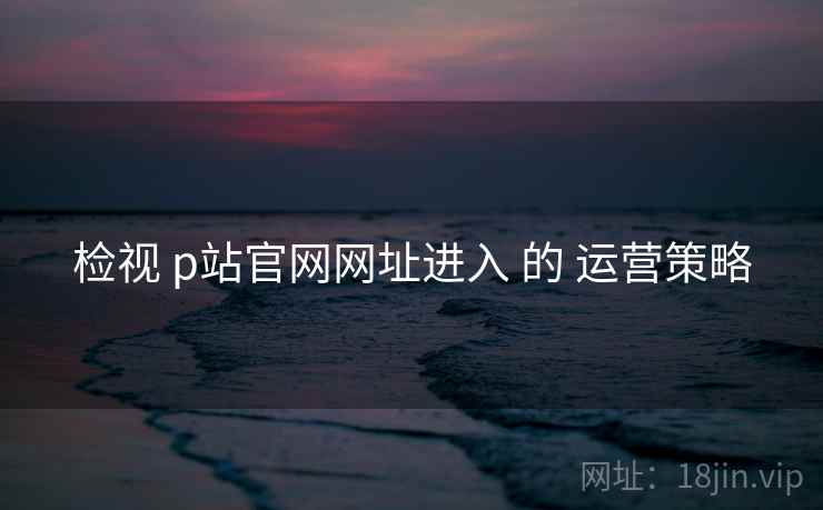 检视 p站官网网址进入 的 运营策略