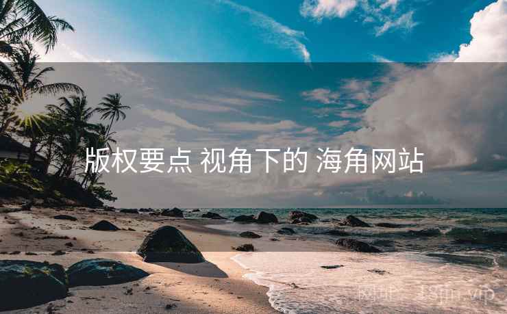 版权要点 视角下的 海角网站