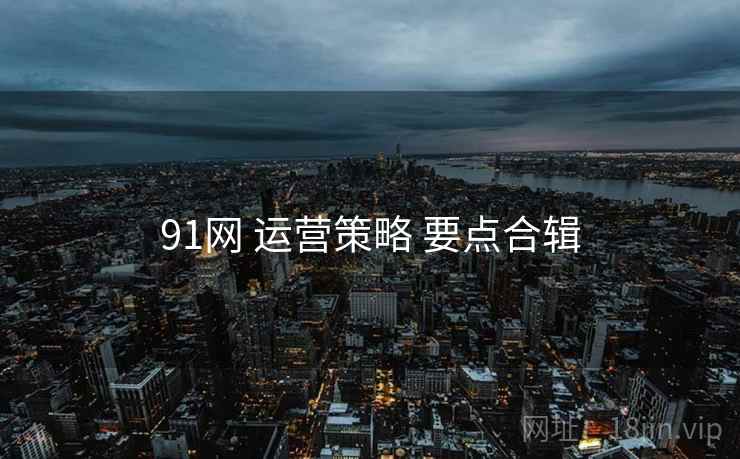 91网 运营策略 要点合辑