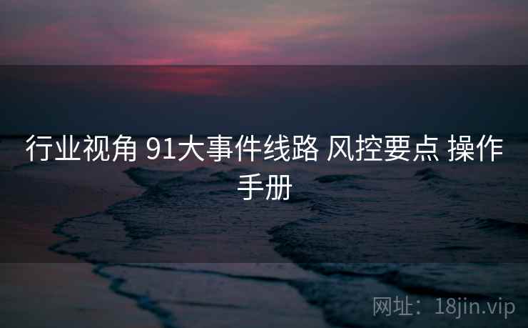 行业视角 91大事件线路 风控要点 操作手册