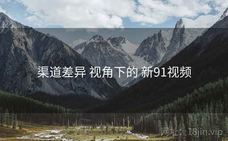 渠道差异 视角下的 新91视频
