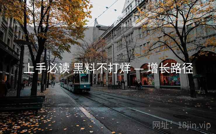上手必读 黑料不打烊 — 增长路径