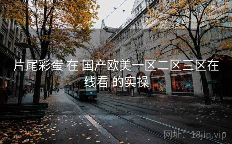 片尾彩蛋 在 国产欧美一区二区三区在线看 的实操
