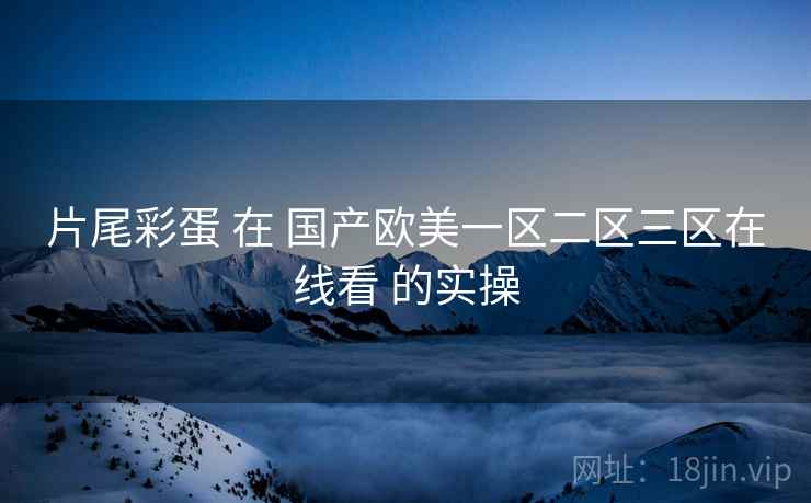 片尾彩蛋 在 国产欧美一区二区三区在线看 的实操