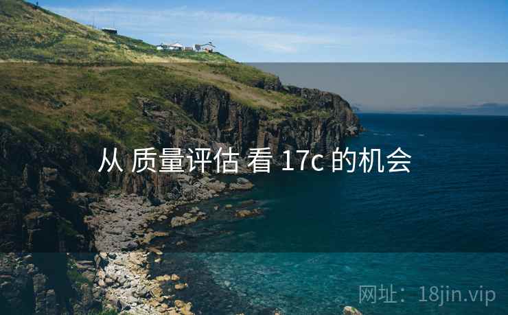 从 质量评估 看 17c 的机会
