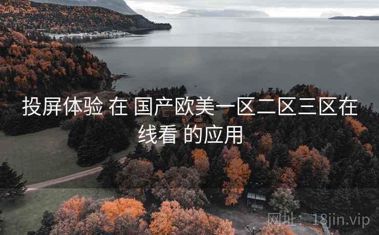 投屏体验 在 国产欧美一区二区三区在线看 的应用